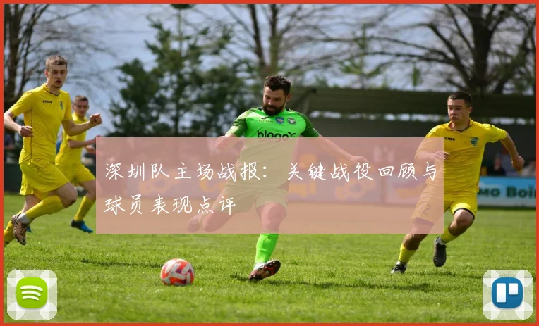 深圳队主场战报：关键战役回顾与球员表现点评