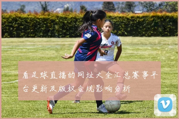 看足球直播的网址大全汇总赛事平台更新及版权合规影响分析