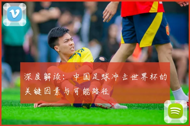 深度解读:中国足球冲击世界杯的关键因素与可能路径