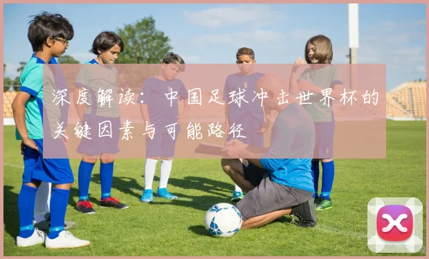 深度解读:中国足球冲击世界杯的关键因素与可能路径