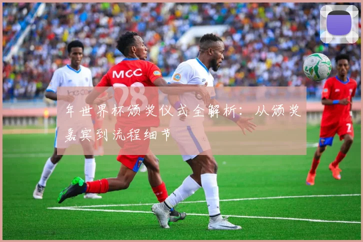 年世界杯颁奖仪式全解析：从颁奖嘉宾到流程细节
