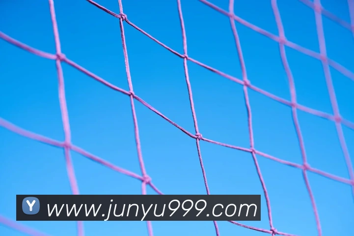 App Interface Preview