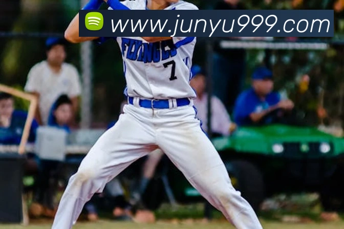 开云手机入口官方网站APP 封面图